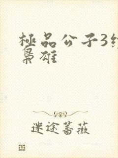 极品公子3续世枭雄