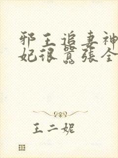 邪王追妻神医狂妃很嚣张全文免费