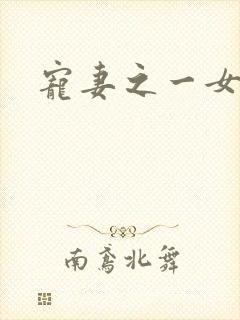 宠妻之一女二夫