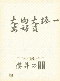 大肉大捧一进一出好爽封面