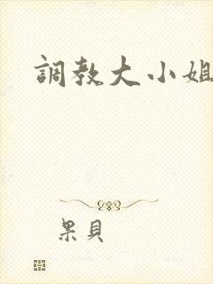 调教大小姐