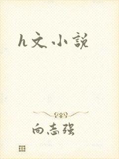 h文小说封面