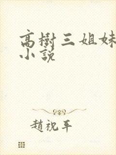 高树三姐妹有声小说封面