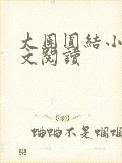大团圆结小茹全文阅读