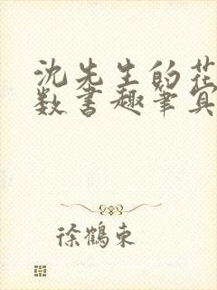 沈先生的花式调数书趣笔冥鸿封面