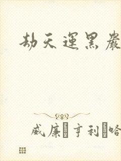 劫天运黑岩封面