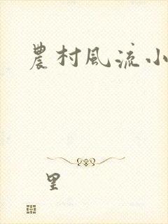 农村风流小说封面