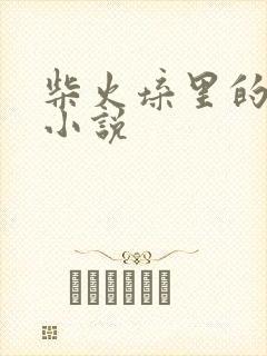 柴火垛里的疯狂小说