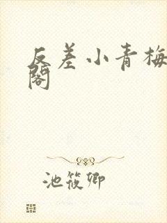 反差小青梅笔趣阁封面