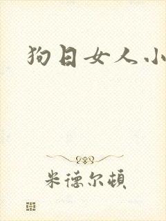 狗日女人小说