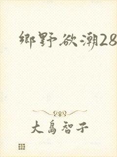 乡野欲潮28章