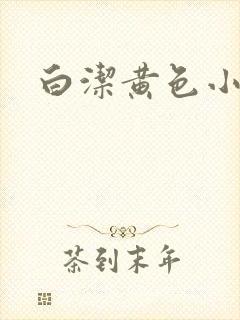 白洁黄色小说封面