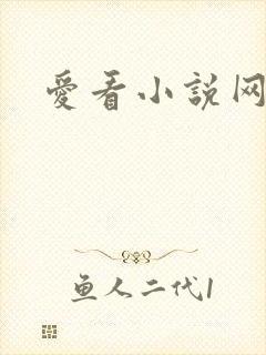 爱看小说网