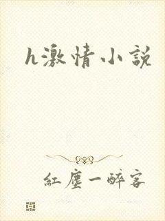 h激情小说