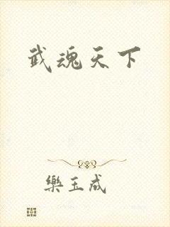 武魂天下