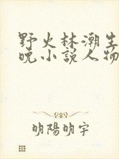 野火林潮生林晚晚小说人物野火