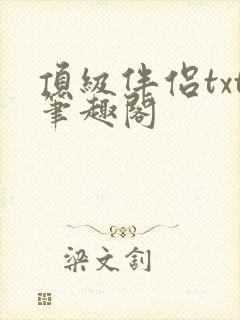 顶级伴侣txt笔趣阁