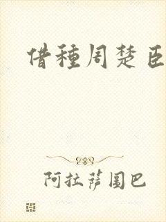 借种周楚臣封面