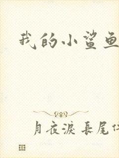 我的小鲨鱼