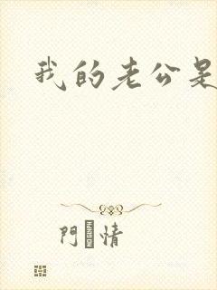 我的老公是军阀