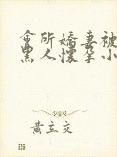 会所娇妻被多个黑人怀孕小说封面