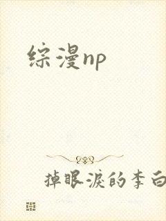 综漫np