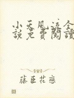 小天风流全集小说免费阅读