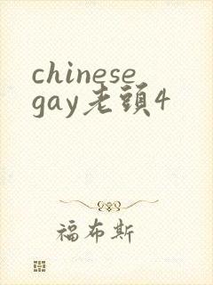 chinesegay老头4
