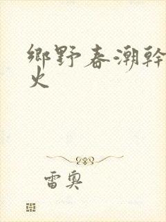 乡野春潮干柴烈火封面