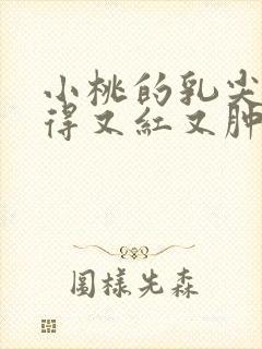 小桃的乳尖被吸得又红又肿