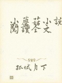 小蘑菇小说免费阅读全文