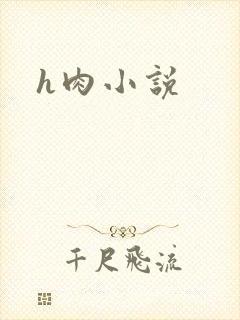 h肉小说