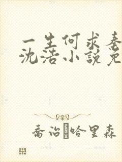 一生何求秦菲雪沈浩小说免费阅读全文