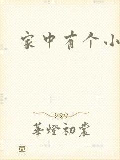 家中有个小姨子