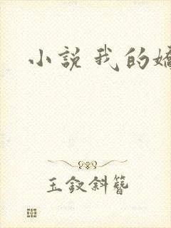 小说 我的娇妻