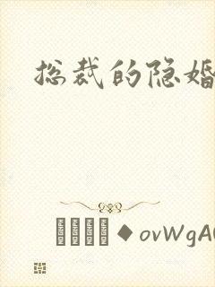 总裁的隐婚新娘封面