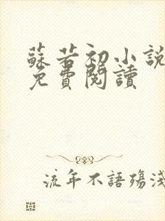 苏若初小说全文免费阅读