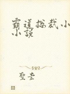 霸道总裁小娇妻小说