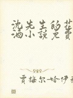 沈先生的花式调酒小说免费阅读