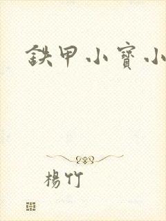 铁甲小宝小百合封面