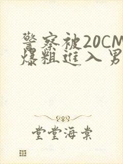 警察被20CM爆粗进入男男软件