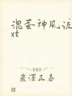 混蛋神风流史txt封面