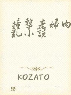 撞击老妇肉体之乱小说