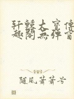 轩辕大宝传奇笔趣阁无弹窗封面