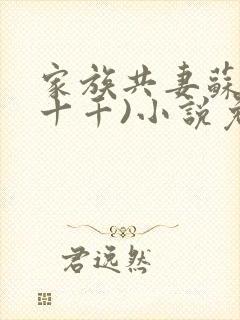 家族共妻苏苏(十千)小说免费