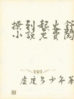 撩到起火舒漾的小说免费阅读全文