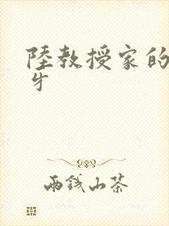 陆教授家的小月牙