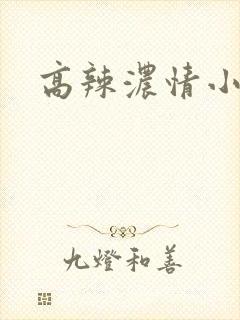 高辣浓情小说