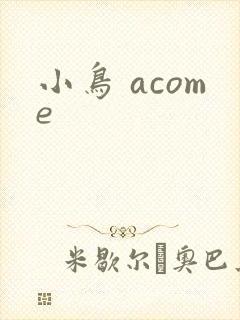 小鸟 acome