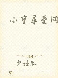 小宝寻爱网